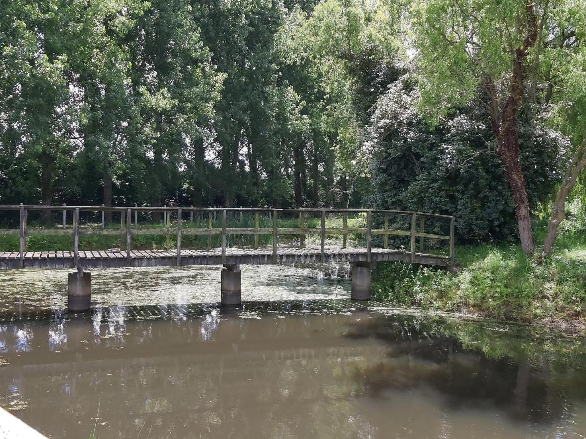Le Bonheur Des Plumes Panzió Montmartin-en-Graignes Kültér fotó