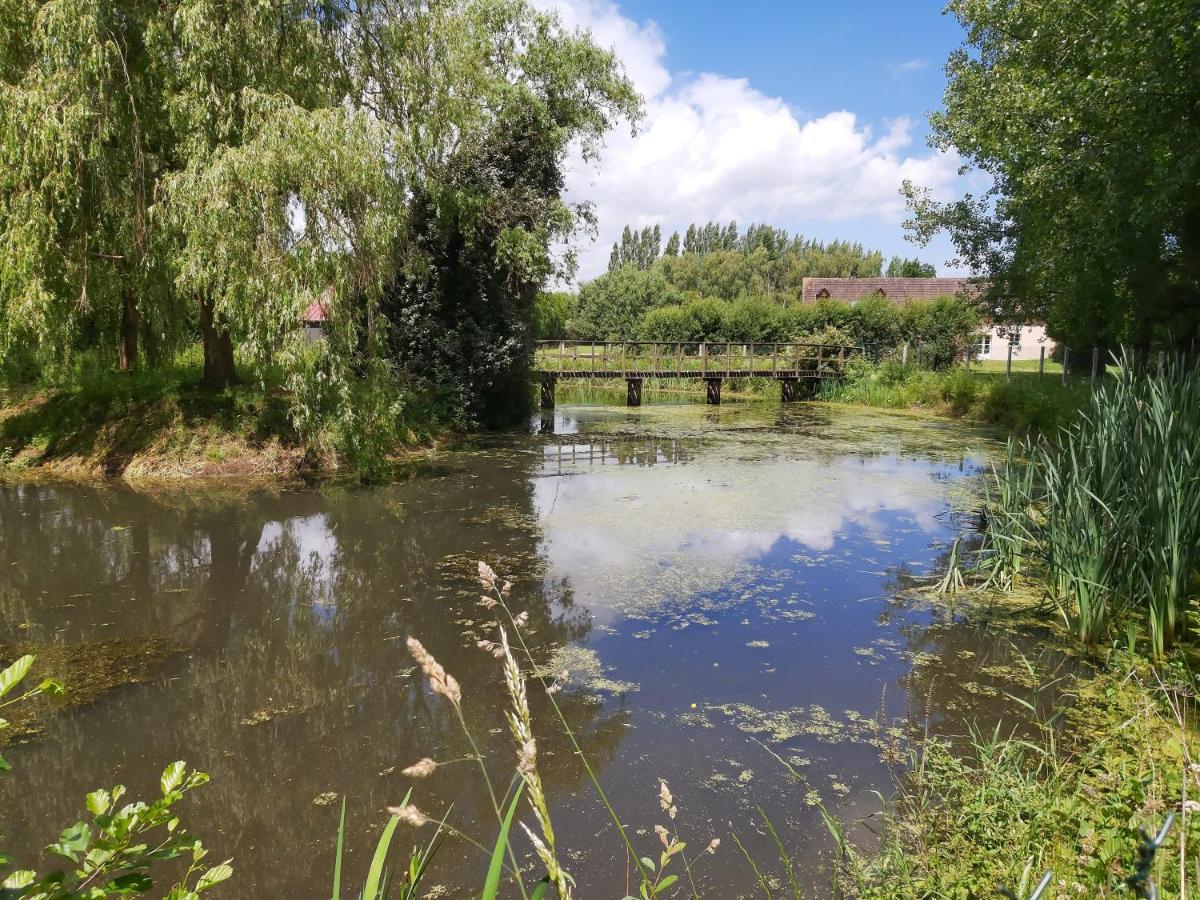 Le Bonheur Des Plumes Panzió Montmartin-en-Graignes Kültér fotó